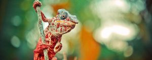 Preview wallpaper chameleon, reptile, lizard, color