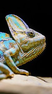 Preview wallpaper chameleon, reptile, lizard, glance, turquoise