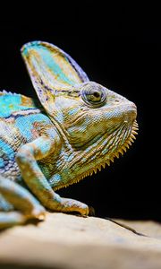 Preview wallpaper chameleon, reptile, lizard, glance, turquoise