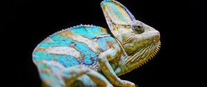 Preview wallpaper chameleon, reptile, lizard, glance, turquoise