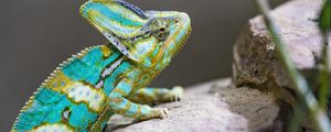Preview wallpaper chameleon, spots, reptile, stones, exotic