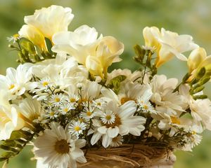 Preview wallpaper chamomile, big, small, flowers, bouquet