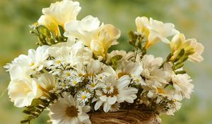Preview wallpaper chamomile, big, small, flowers, bouquet