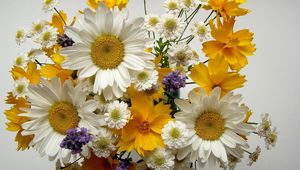 Preview wallpaper chamomile, big, small, flowers, bouquets, composition