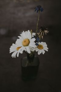 Preview wallpaper chamomile, bouquet, vase, field flowers, composition