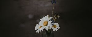 Preview wallpaper chamomile, bouquet, vase, field flowers, composition