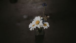 Preview wallpaper chamomile, bouquet, vase, field flowers, composition