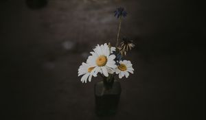 Preview wallpaper chamomile, bouquet, vase, field flowers, composition