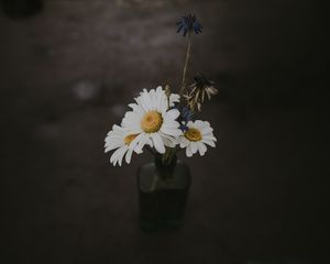 Preview wallpaper chamomile, bouquet, vase, field flowers, composition