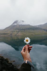 Preview wallpaper chamomile, flower, hand, lake, mountains