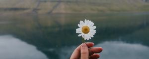 Preview wallpaper chamomile, flower, hand, lake, mountains