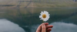 Preview wallpaper chamomile, flower, hand, lake, mountains