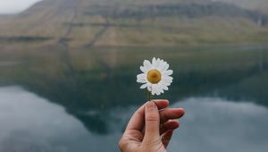 Preview wallpaper chamomile, flower, hand, lake, mountains