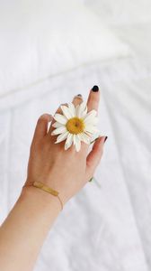 Preview wallpaper chamomile, flower, petals, hand, white