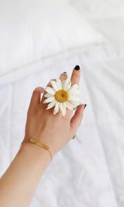 Preview wallpaper chamomile, flower, petals, hand, white