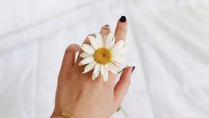 Preview wallpaper chamomile, flower, petals, hand, white