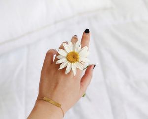 Preview wallpaper chamomile, flower, petals, hand, white