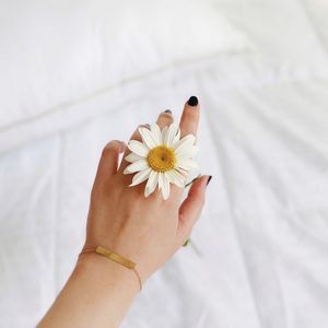 Preview wallpaper chamomile, flower, petals, hand, white