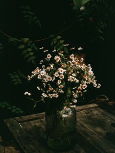 Preview wallpaper chamomile, flowers, bouquet