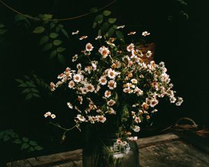 Preview wallpaper chamomile, flowers, bouquet