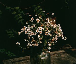 Preview wallpaper chamomile, flowers, bouquet