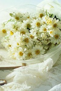 Preview wallpaper chamomile, flowers, bouquet, clock, book, envelope, romance