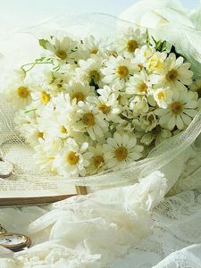 Preview wallpaper chamomile, flowers, bouquet, clock, book, envelope, romance