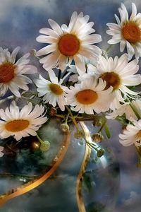 Preview wallpaper chamomile, flowers, bouquets, vase, sky, clouds, background