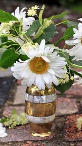 Preview wallpaper chamomile, flowers, bud, flower, vase