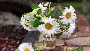 Preview wallpaper chamomile, flowers, bud, flower, vase