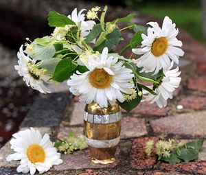 Preview wallpaper chamomile, flowers, bud, flower, vase