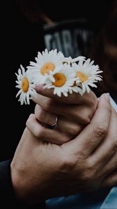 Preview wallpaper chamomile, flowers, hands, touch