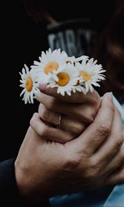 Preview wallpaper chamomile, flowers, hands, touch