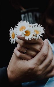 Preview wallpaper chamomile, flowers, hands, touch