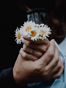 Preview wallpaper chamomile, flowers, hands, touch