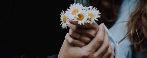 Preview wallpaper chamomile, flowers, hands, touch