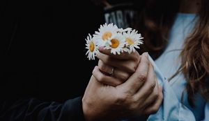 Preview wallpaper chamomile, flowers, hands, touch