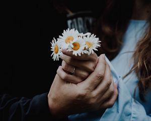 Preview wallpaper chamomile, flowers, hands, touch