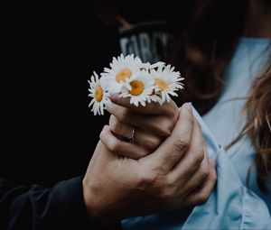 Preview wallpaper chamomile, flowers, hands, touch