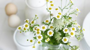 Preview wallpaper chamomile, flowers, jar, table, morning, breakfast