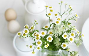 Preview wallpaper chamomile, flowers, jar, table, morning, breakfast
