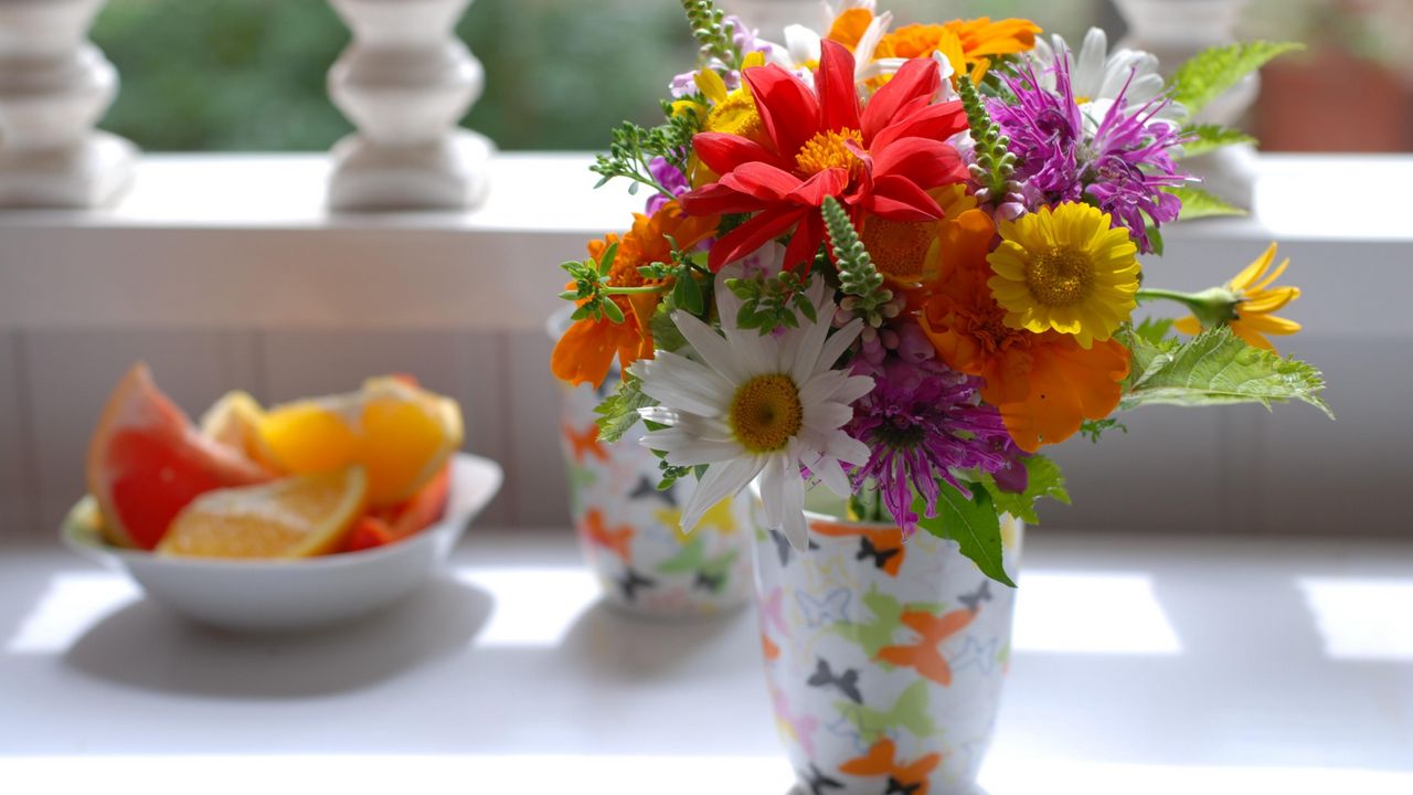 Wallpaper chamomile, flowers, lupine, flower, citrus, blurring