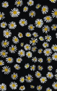 Preview wallpaper chamomile, flowers, pattern, black