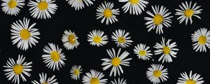 Preview wallpaper chamomile, flowers, pattern, black