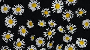 Preview wallpaper chamomile, flowers, pattern, black