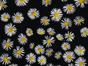 Preview wallpaper chamomile, flowers, pattern, black