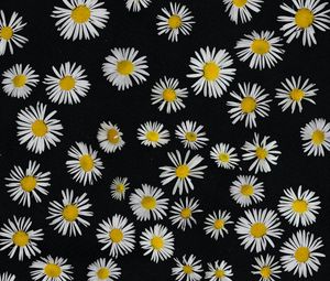 Preview wallpaper chamomile, flowers, pattern, black