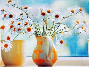 Preview wallpaper chamomile, flowers, pitcher, bouquet, box