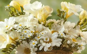 Preview wallpaper chamomile, flowers, white, bouquet