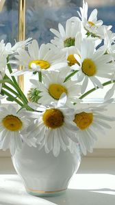 Preview wallpaper chamomile, flowers, window sill, vase, curtain